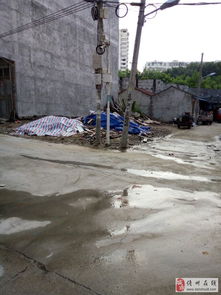 城市里的又一块金子——关于“精品学区地基 低价急售”的思考